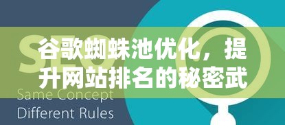 谷歌蜘蛛池优化，提升网站排名的秘密武器