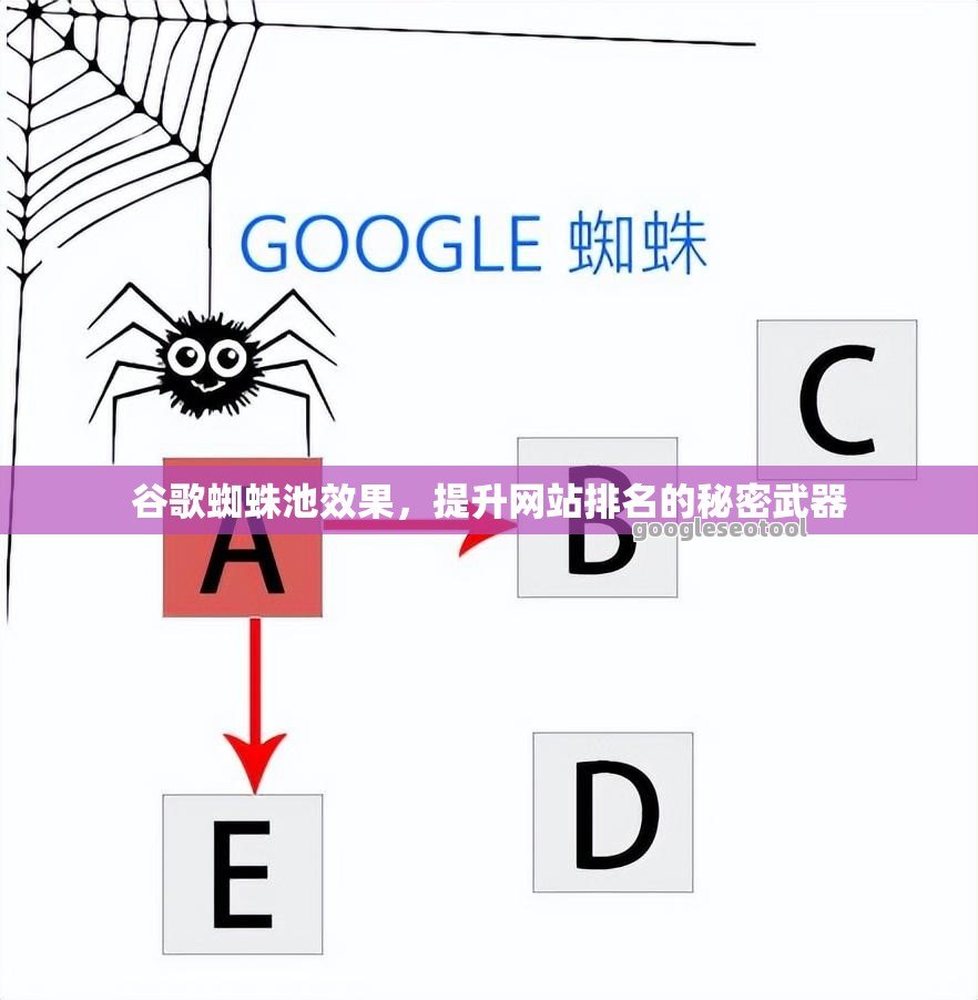 谷歌蜘蛛池效果，提升网站排名的秘密武器