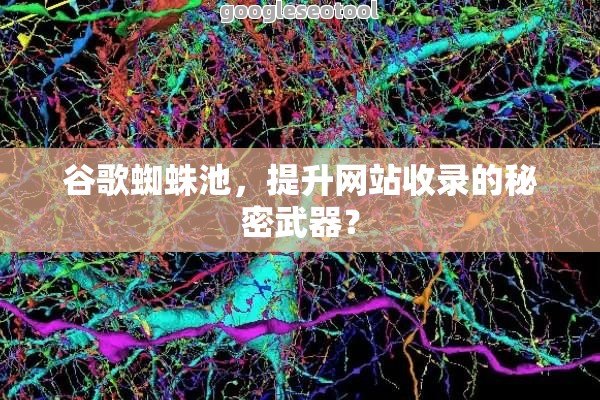 谷歌蜘蛛池，提升网站收录的秘密武器？