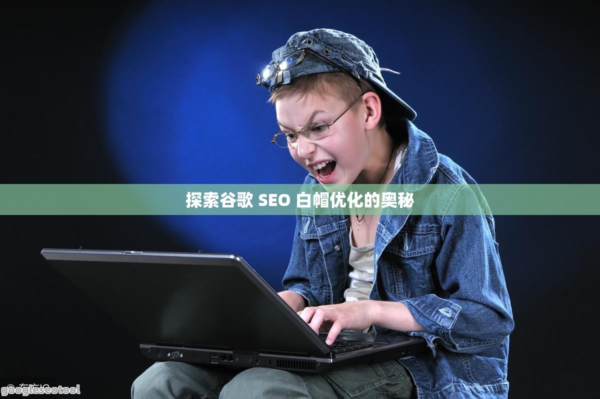 探索谷歌 SEO 白帽优化的奥秘