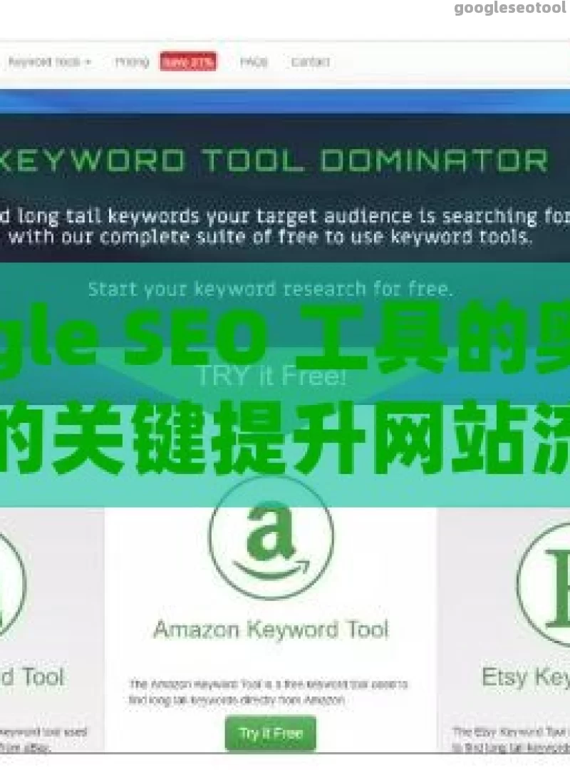 探索 Google SEO 工具的奥秘，提升网站排名的关键提升网站流量的秘密武器，Google SEO Tool的高效运用