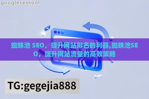 蜘蛛池 SEO，提升网站排名的利器,蜘蛛池SEO，提升网站流量的高效策略