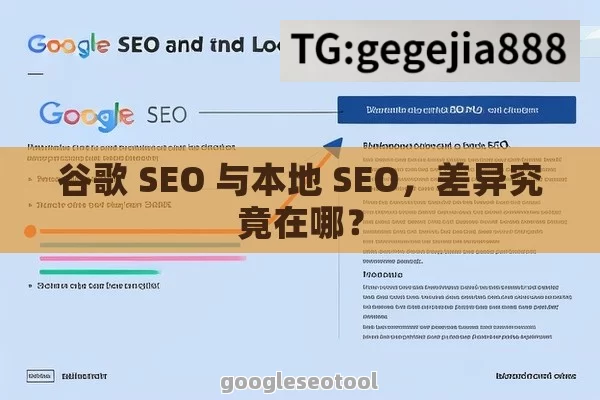 谷歌 SEO 与本地 SEO，差异究竟在哪？