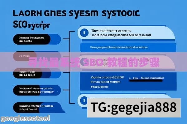 寻找最系统 SEO 教程的步骤