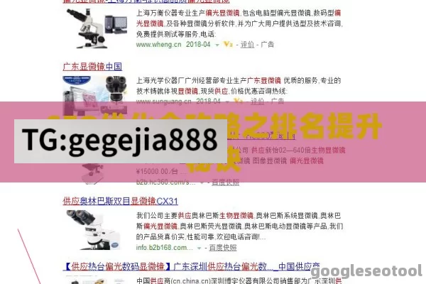 SEO优化全攻略之排名提升秘诀