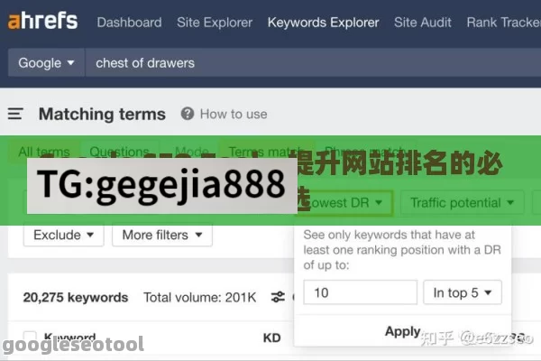 Google SEO Tool，提升网站排名的必备之选