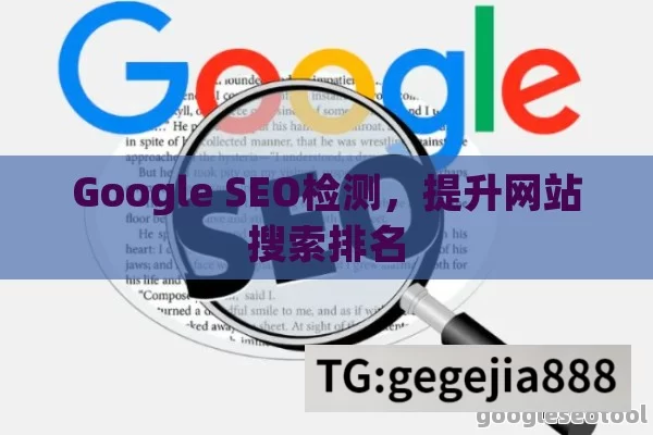 Google SEO检测，提升网站搜索排名