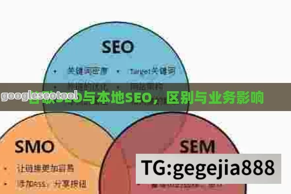 谷歌SEO与本地SEO，区别与业务影响