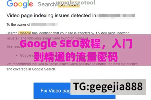 Google SEO教程，入门到精通的流量密码