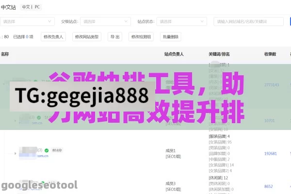 谷歌快排工具，助力网站高效提升排名的得力助手