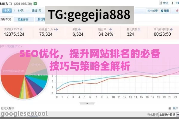 SEO优化，提升网站排名的必备技巧与策略全解析