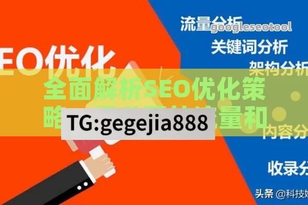 全面解析SEO优化策略，提升网站流量和排名的秘诀