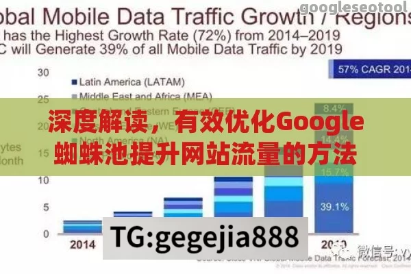 深度解读，有效优化Google蜘蛛池提升网站流量的方法