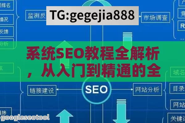 系统SEO教程全解析，从入门到精通的全方位指引