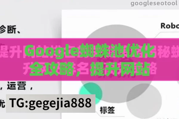 Google蜘蛛池优化全攻略，提升网站SEO排名