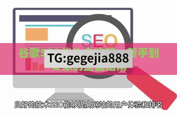 谷歌SEO优化全攻略，新手到专家的全面指南