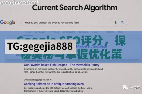 Google SEO评分，探秘奥秘与掌握优化策略