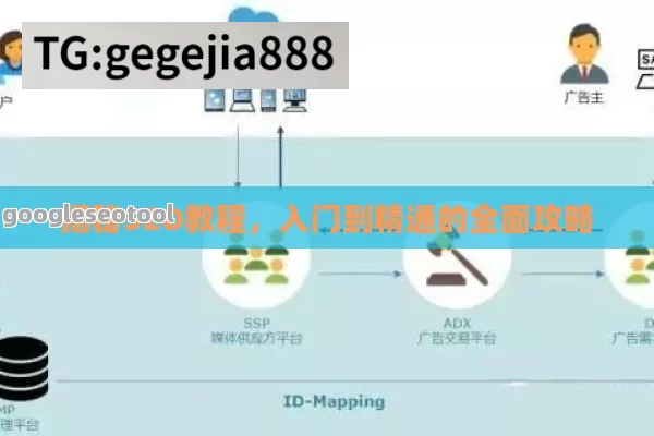 揭秘SEO教程，入门到精通的全面攻略