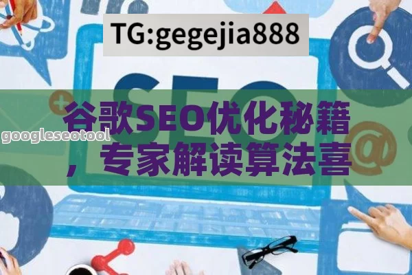 谷歌SEO优化秘籍，专家解读算法喜好