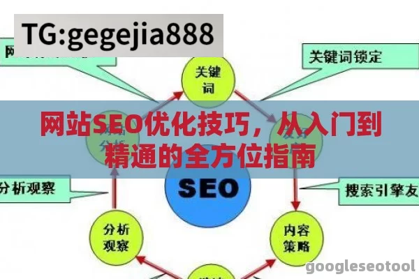 网站SEO优化技巧，从入门到精通的全方位指南