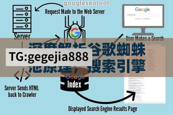 深度解析谷歌蜘蛛池原理，搜索引擎优化新篇