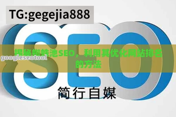 揭秘蜘蛛池SEO，利用其优化网站排名的方法