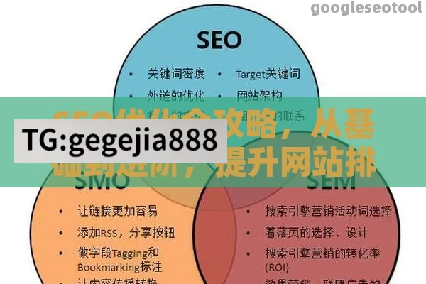 SEO优化全攻略，从基础到进阶，提升网站排名的关键策略