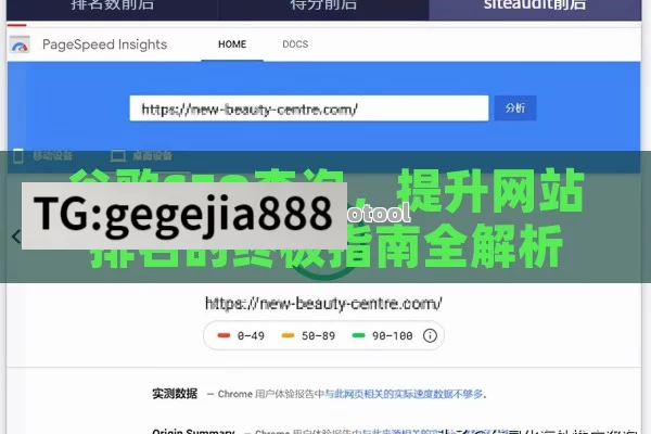 谷歌SEO查询，提升网站排名的终极指南全解析