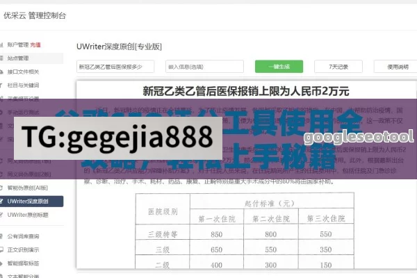 谷歌SEO评分工具使用全攻略，轻松上手秘籍