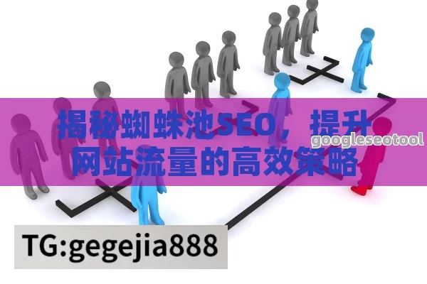 揭秘蜘蛛池SEO，提升网站流量的高效策略