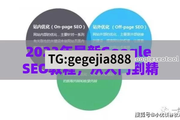 2023年最新Google SEO教程，从入门到精通的完整指南，提升网站排名的10大核心策略