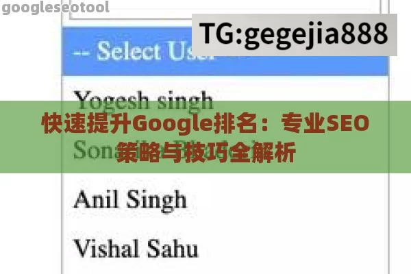 快速提升Google排名：专业SEO策略与技巧全解析