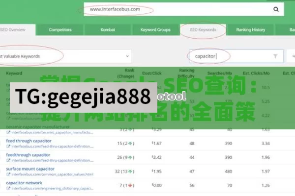 掌握Google SEO查询：提升网站排名的全面策略与技巧