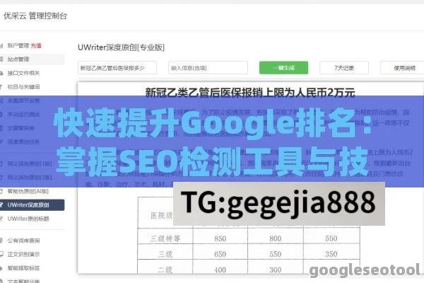 快速提升Google排名：掌握SEO检测工具与技巧