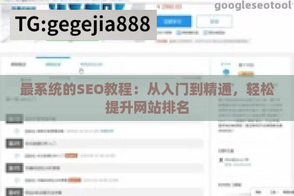 最系统的SEO教程：从入门到精通，轻松提升网站排名