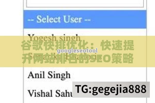 谷歌快排优化：快速提升网站排名的SEO策略
