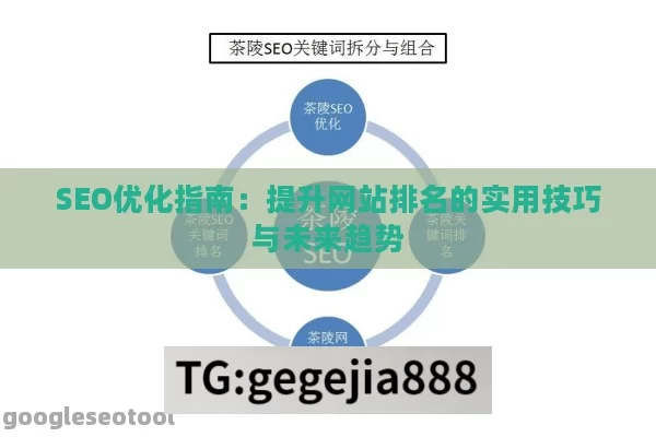 SEO优化指南：提升网站排名的实用技巧与未来趋势