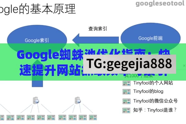 Google蜘蛛池优化指南：快速提升网站抓取频率与索引效率