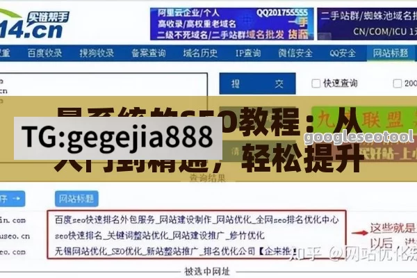 最系统的SEO教程：从入门到精通，轻松提升网站排名