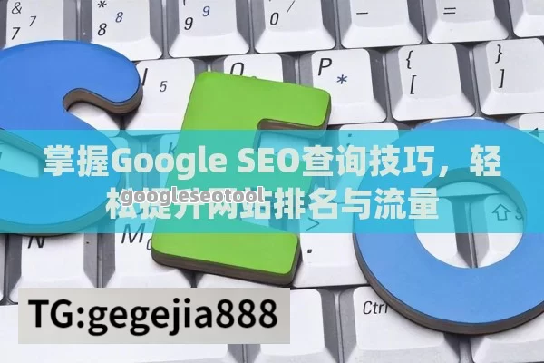 掌握Google SEO查询技巧，轻松提升网站排名与流量