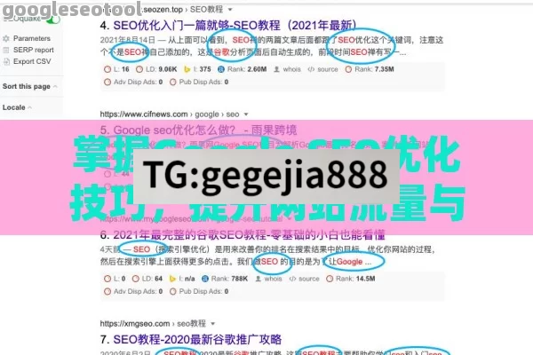 掌握Google SEO优化技巧，提升网站流量与用户体验