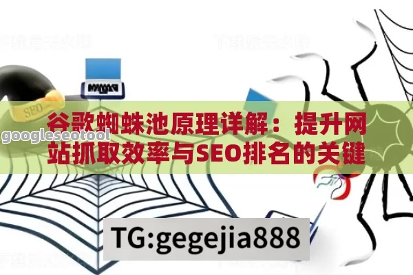 谷歌蜘蛛池原理详解：提升网站抓取效率与SEO排名的关键